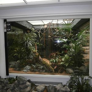 Bird House estrildid finch enclosure