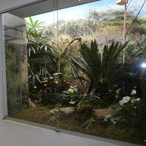 Bird House enclosure