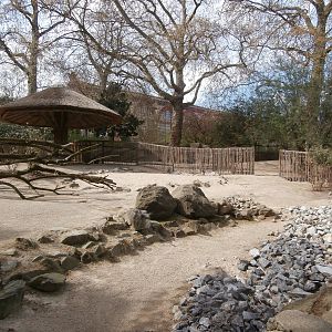 Kangaroo enclosure