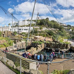 General view : Living Coasts : 24 Sep 2015