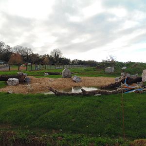 Spectacled Bear Enclosure