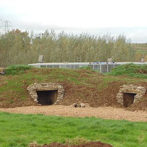 Spectacled Bear Enclosure