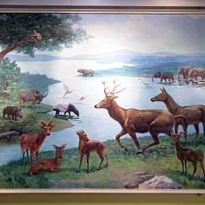 Southern China, 2000 years ago