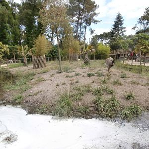 South American enclosure