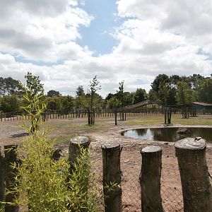Asian plains enclosure