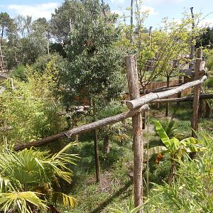 Nepalese red panda enclosure