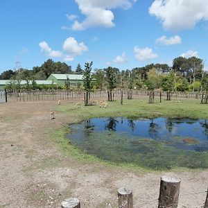 Asian plains enclosure