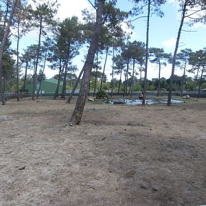 Hippopotamus enclosure