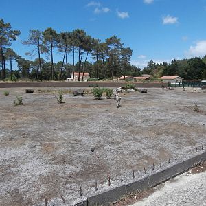 Zebra/ostrich enclosure