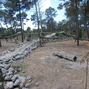 Bear enclosure