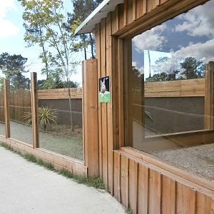 Fennec fox enclosure