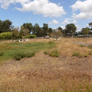 Black rhino enclosure 1
