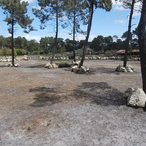 Black rhino enclosure 2