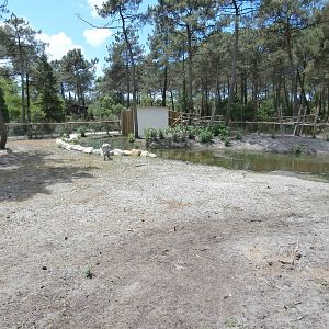 Savannah enclosure 1