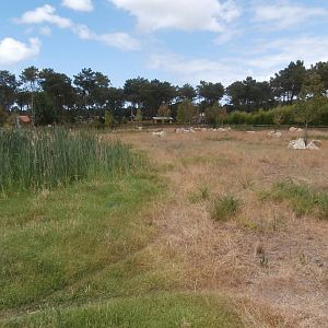 Black rhino enclosure 1