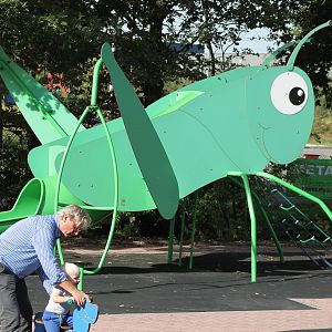 At the playing ground