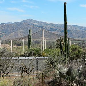 World Gardens - California Nativescapes Garden - View of Condor Ridge