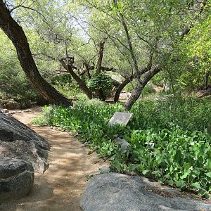 World Gardens - California Nativescapes Garden