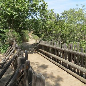 World Gardens - California Nativescapes Garden