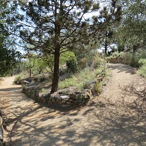World Gardens - California Nativescapes Garden