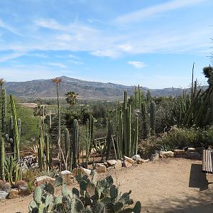 World Gardens - California Nativescapes Garden