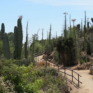 World Gardens - Baja Garden