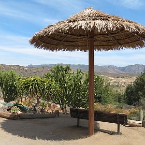 World Gardens - Old World Succulent Garden