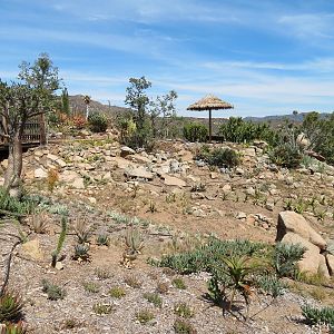 World Gardens - Old World Succulent Garden