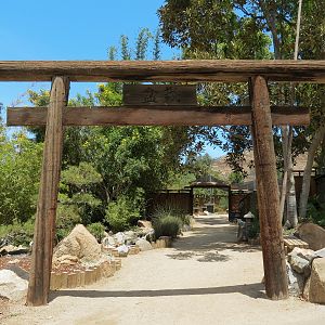 World Gardens - Bonsai Pavilion