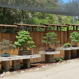 World Gardens - Bonsai Pavilion