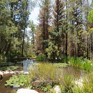 World Gardens - Kupanda Falls Botanical Center