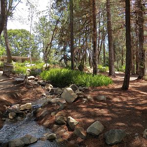 World Gardens - Kupanda Falls Botanical Center