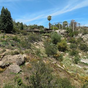 Condor Ridge - View from Below