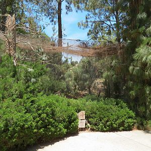 Condor Ridge - Southern Bald Eagle Exhibit
