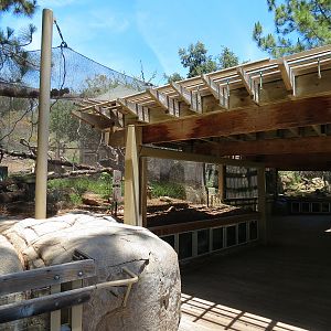 Condor Ridge - Exhibit Shelter