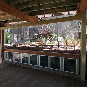 Condor Ridge - Ocelot Exhibit 1