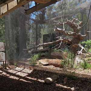 Condor Ridge - Ocelot Exhibit 1