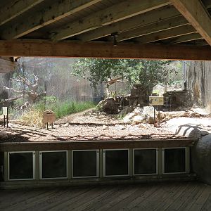 Condor Ridge - Ocelot Exhibit 2