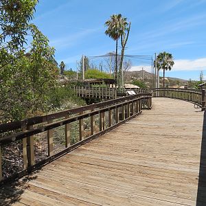 Condor Ridge - Boardwalk