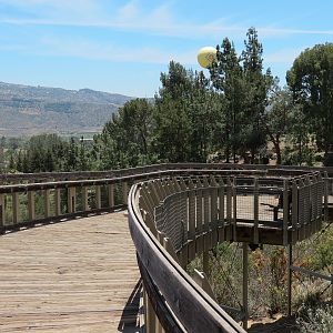 Condor Ridge - Boardwalk