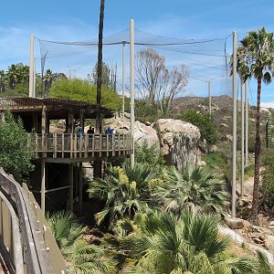 Condor Ridge - California Condor Exhibit