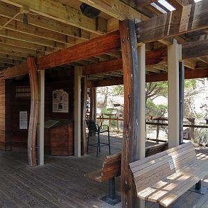 Condor Ridge - California Condor Exhibit