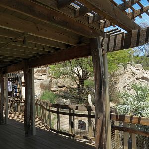 Condor Ridge - California Condor Exhibit