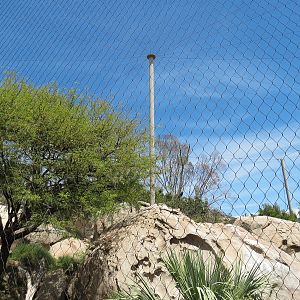 Condor Ridge - California Condor Exhibit
