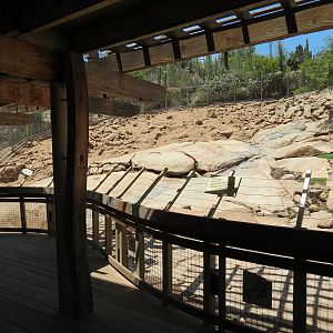Condor Ridge - Desert Bighorn Exhibit