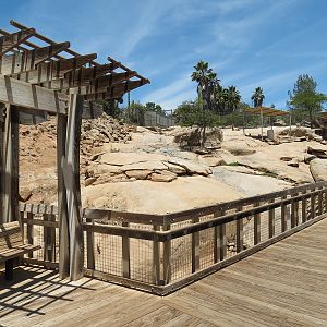 Condor Ridge - Desert Bighorn Exhibit