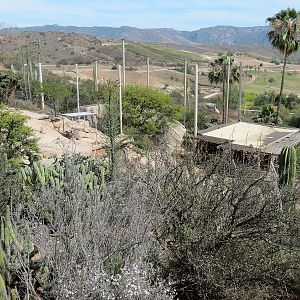 Condor Ridge - View from Above
