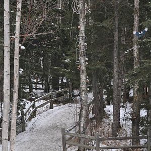 View of the trail from zoo entrance, with Magpie