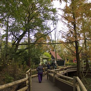 New red panda enclosure