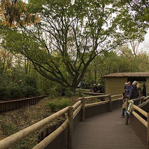 New red panda enclosure